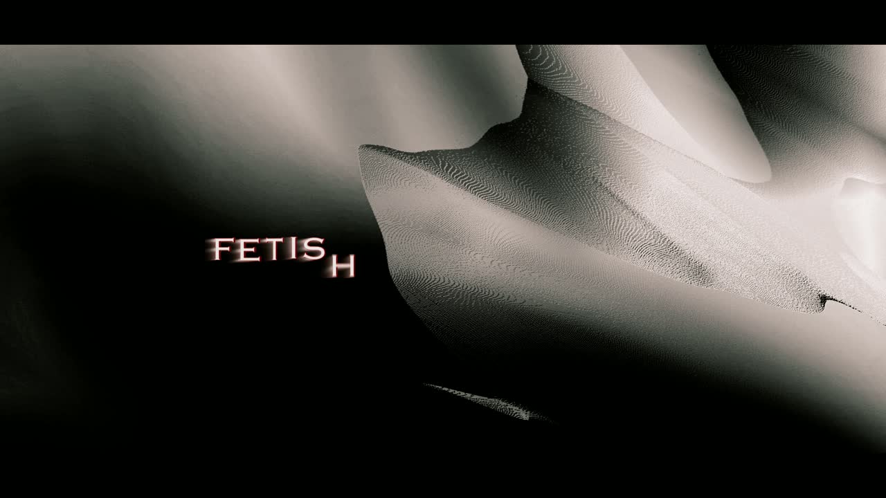 Videos from parties — 5